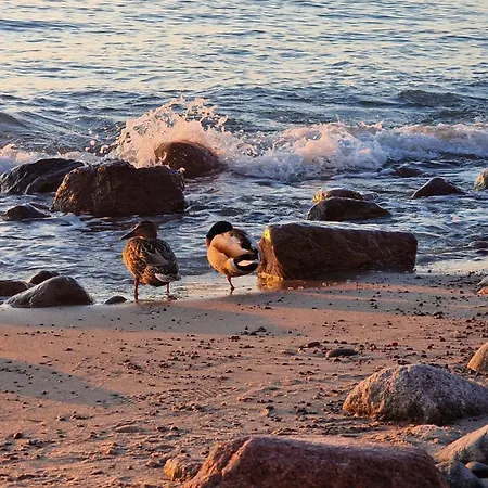 Roza Wiatrow 45b Z Duzym Tarasem Debina (Ustka)