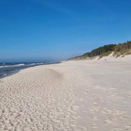 Roza Wiatrow 45b Z Duzym Tarasem