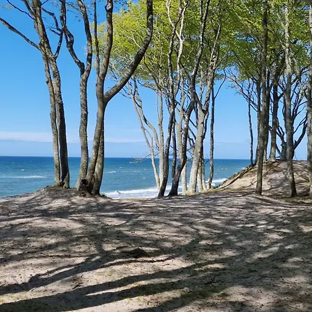 Roza Wiatrow 45b Z Duzym Tarasem