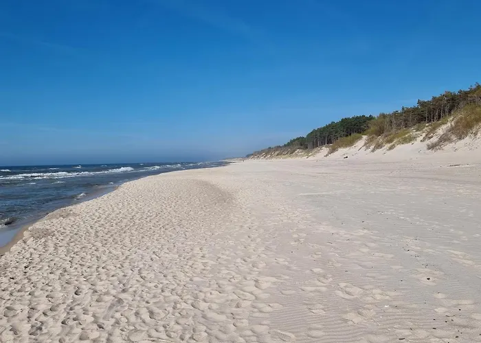 Roza Wiatrow 45b Z Duzym Tarasem